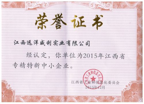 Jiangxi Province specialized special new small and medium sized enterprise certificate