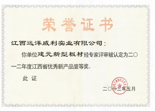 First prize certificate of new product